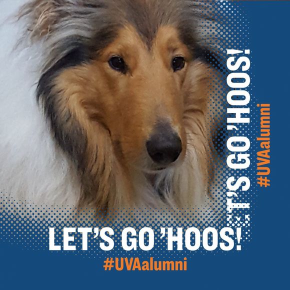 Meet your Posher, Iris - Picture 1 of 1